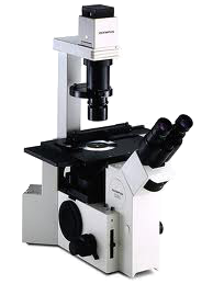 Olympus IX-70 Inverted Fluorescence Microscope