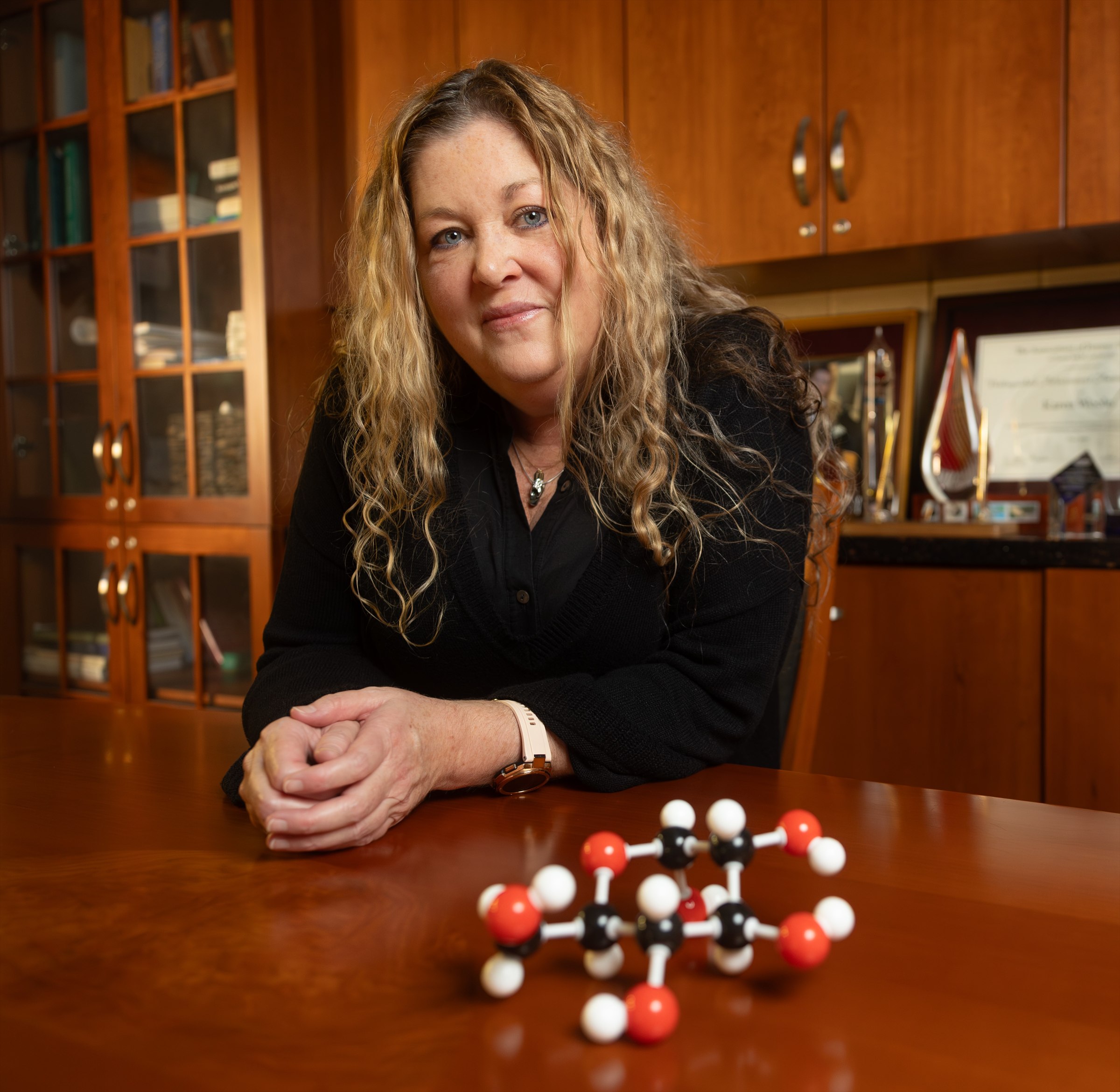 Professor Karen L. Wooley